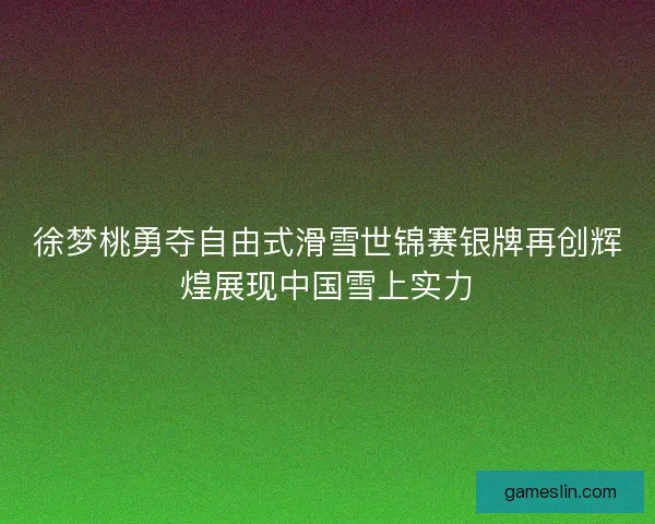 徐梦桃勇夺自由式滑雪世锦赛银牌再创辉煌展现中国雪上实力